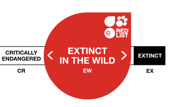 Extinct in the Wild