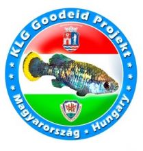 Logo KLG Goodeid Projekt