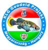 Logo KLG Goodeid Projekt