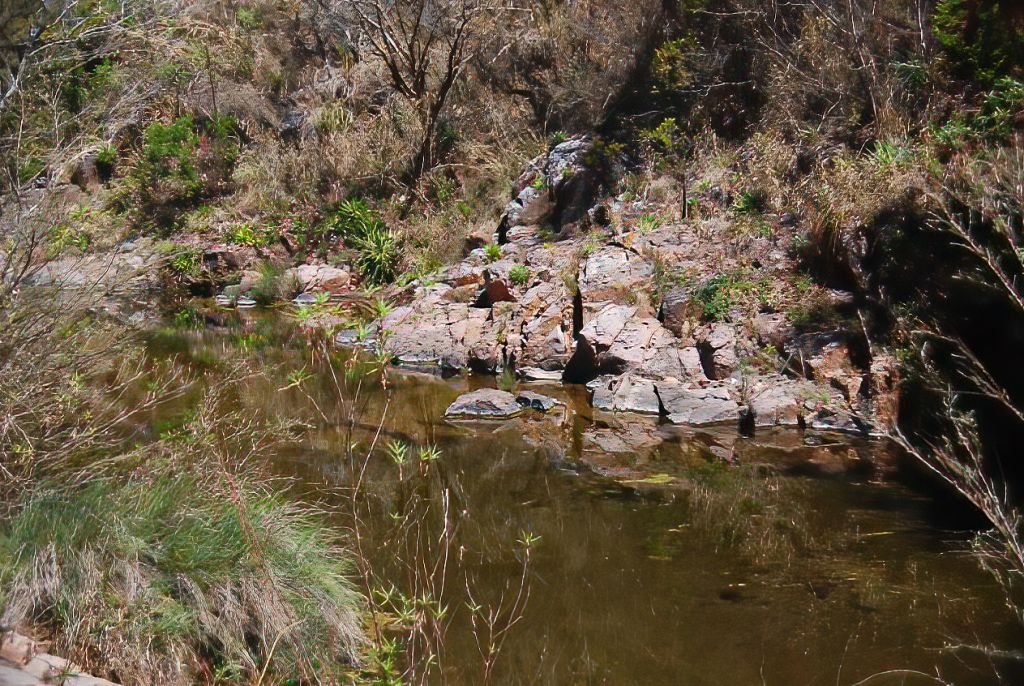 Abbildung 3: Habitat von Allodontichthys polylepis, Flussbereich des Arroyo de Ávalos. Foto: Michael Köck